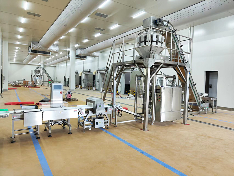 envasadora automatica de alimentos forzen