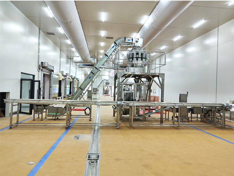 envasadora automatica de alimentos forzen