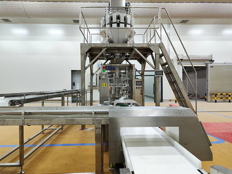 empaquetadora automática para alimentos congelados.6